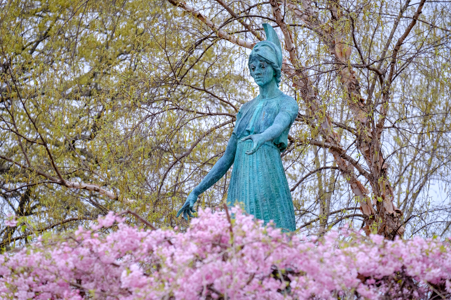 The Minerva statue behind pink spring blooms